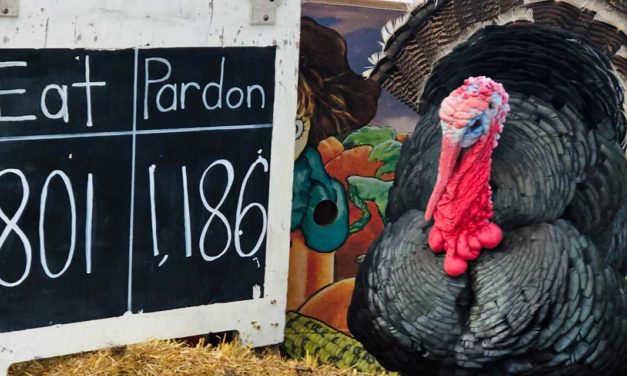 UPDATE: Turkey Food Drive totals: 1186 ‘Pardon’ vs 801 ‘Dinner’