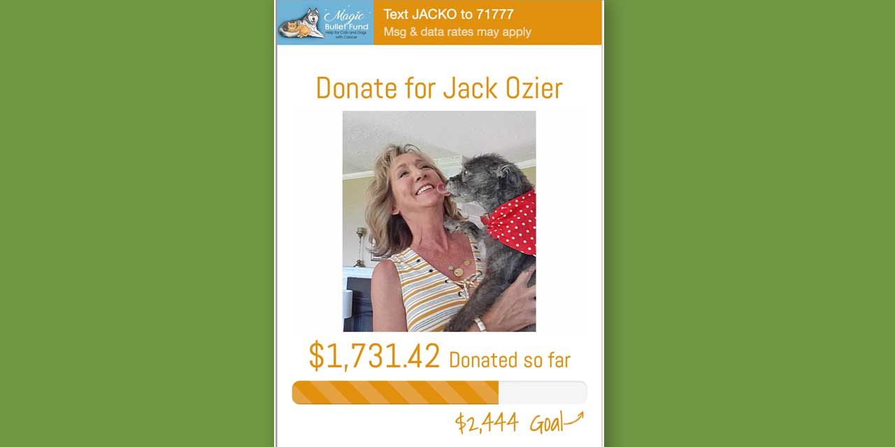 Normandy Park pet ‘Jack Ozier’ fighting cancer with help from online fundraiser