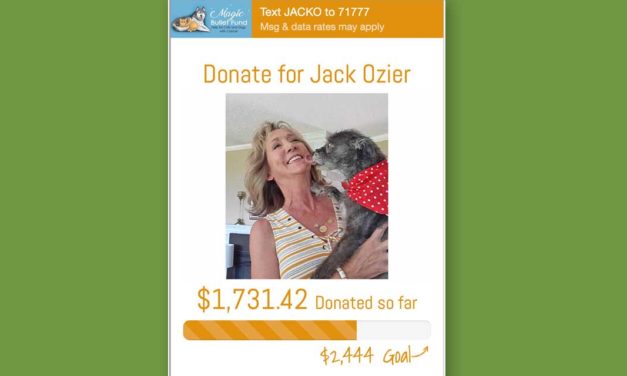 Normandy Park pet ‘Jack Ozier’ fighting cancer with help from online fundraiser