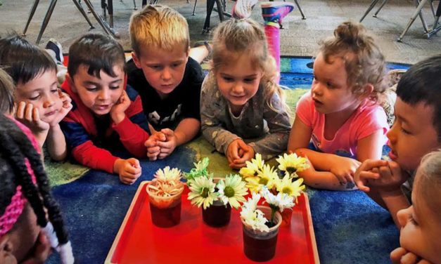 Normandy Park Preschool is now enrolling for the 2021-22 School Year!