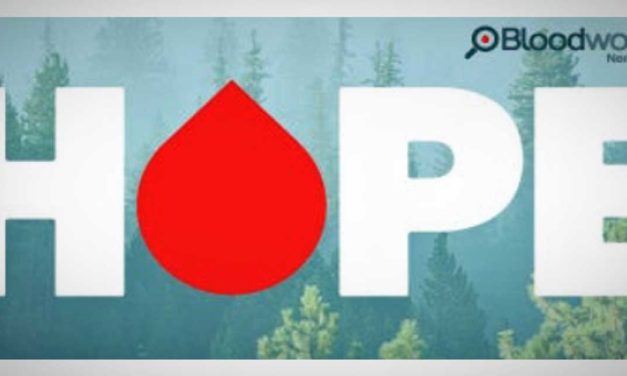 Bloodworks Northwest needs Blood Donors at Normandy Park City Hall Dec. 6 & 7