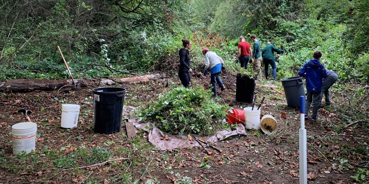 Volunteers needed for Walker Preserve Forest Restoration work party on Sat., Mar. 19