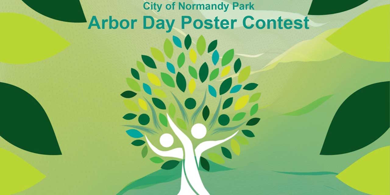 Celebrate Arbor Day in Normandy Park by making an ‘If I Were a Tree’ poster