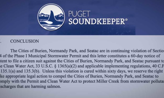 Puget Soundkeeper announces intent to sue City of Normandy Park, others over stormwater discharges