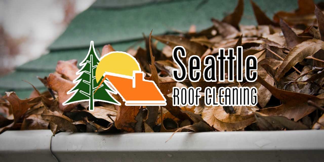 Get ahead of FALL-ing leaves – schedule now with locally-owned Seattle Roof Cleaning