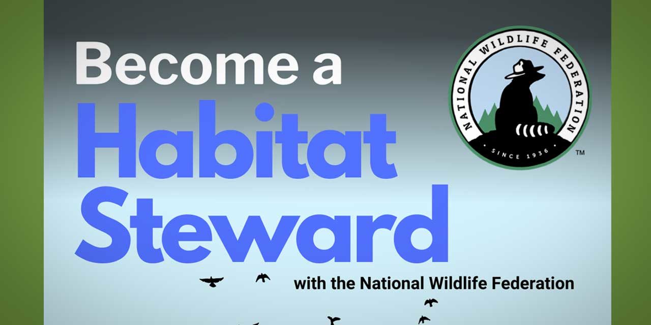 Interested in creating habitat for wildlife? Virtual Habitat Steward Training starts soon