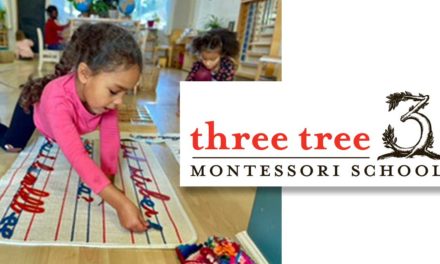 See what Three Tree Montessori School has to offer your family at Jan. 7 Open House
