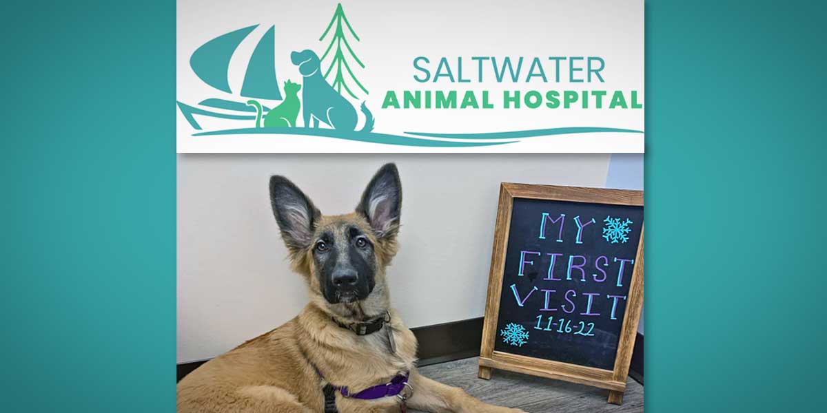 ‘We treat your pet like family’ at new Saltwater Animal Hospital in Des Moines