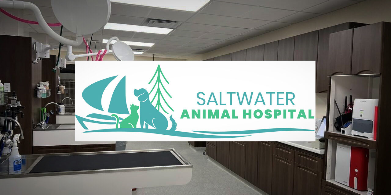 New drop-off and Saturday service make caring for your pet easy at Saltwater Animal Hospital