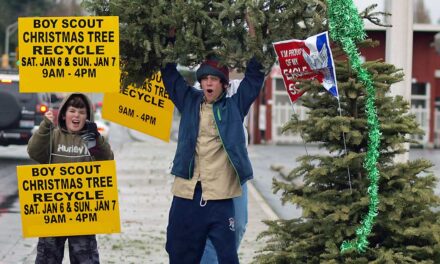 Local Scouts will recycle Christmas Trees this weekend