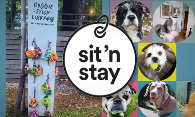 Barry and Brittany of Sit ’n Stay Pet Sitting have select new client openings now!