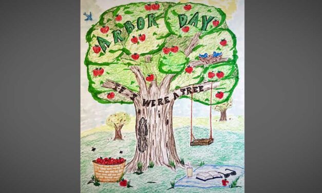 Normandy Park will celebrate Arbor Day with ‘Power of Trees’ poster contest