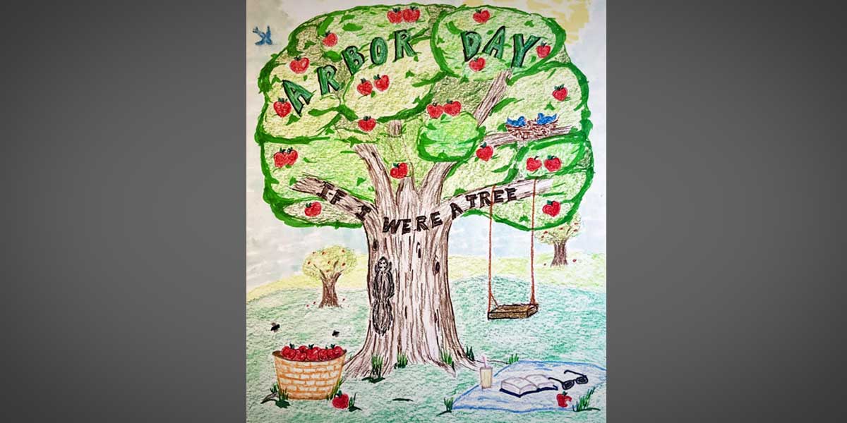 Normandy Park will celebrate Arbor Day with ‘Power of Trees’ poster contest