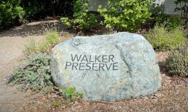 WABI Weekday Walkers will walk Walker Preserve this Wednesday, Mar. 20