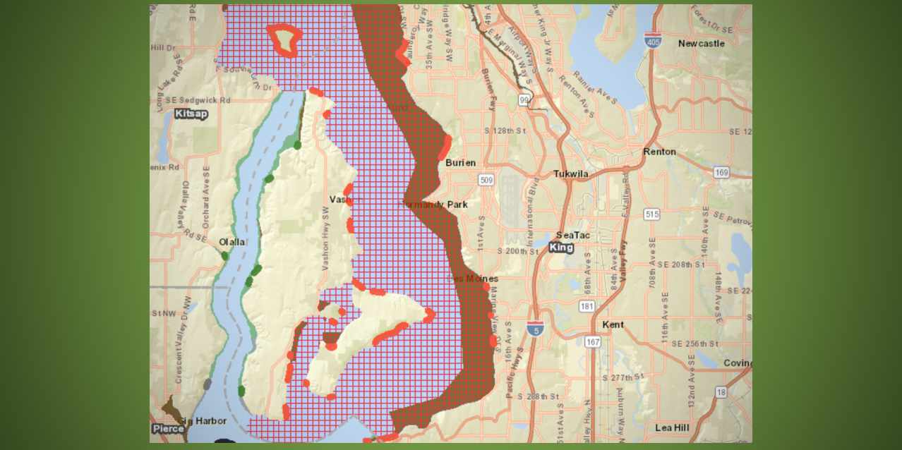 Shellfish harvesting closed in South King County due to toxic algae