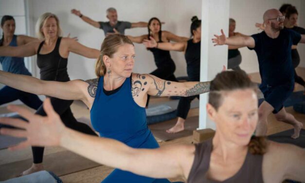 Aya Yoga Oasis: A Place to Belong