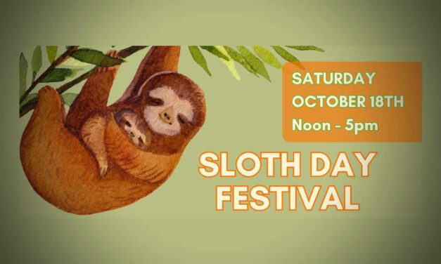 Highline Heritage Museum to host Sloth Day Festival on Saturday, Oct. 18