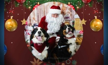 Santa is back for Pet Photos in Des Moines on Sunday, Dec. 14; plus a full slate of holiday fun at Marina Mercantile